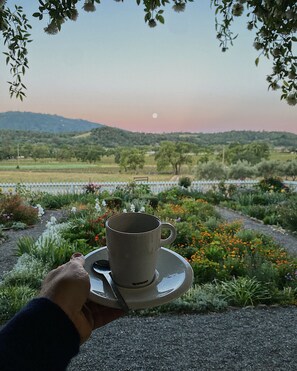 A hand holding a cup and saucer with a view of a garden and a mountain in the background.