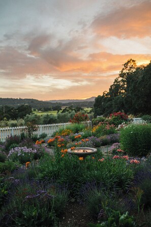 Vue depuis l’hébergement
