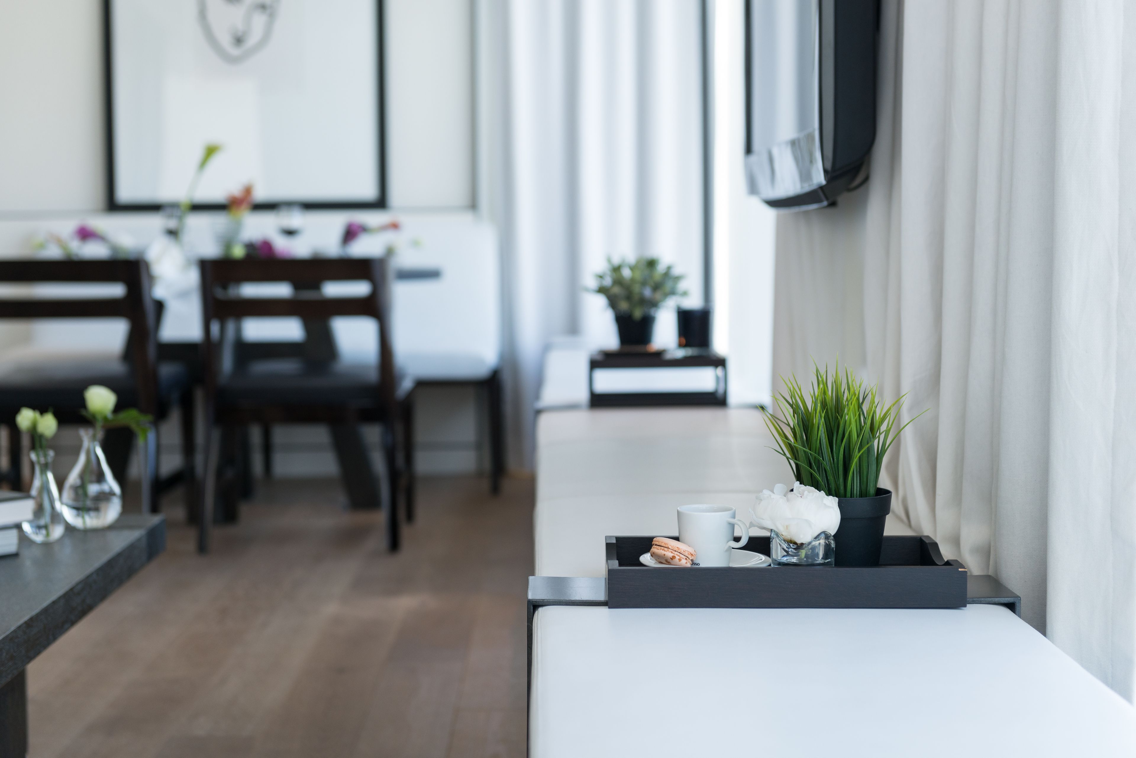 Un salón moderno con un sofá, una mesa de centro con una planta y un comedor al fondo.