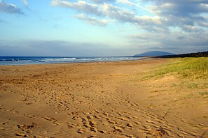 ビーチの近く、釣り