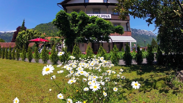 Garden - BasicRooms Hotel (Matten bei Interlaken)