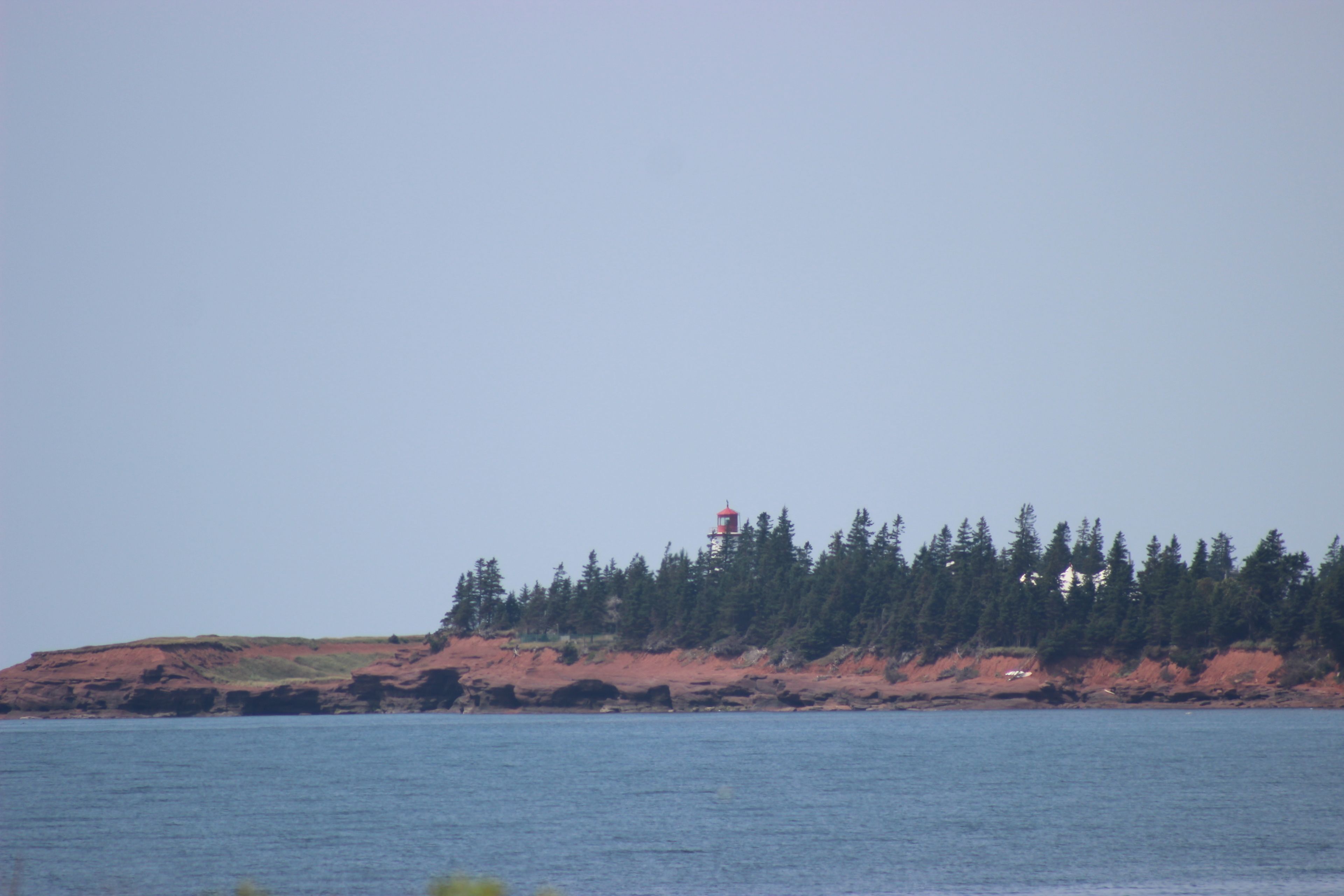 A lighthouse on a rocky coastline with dense forest.