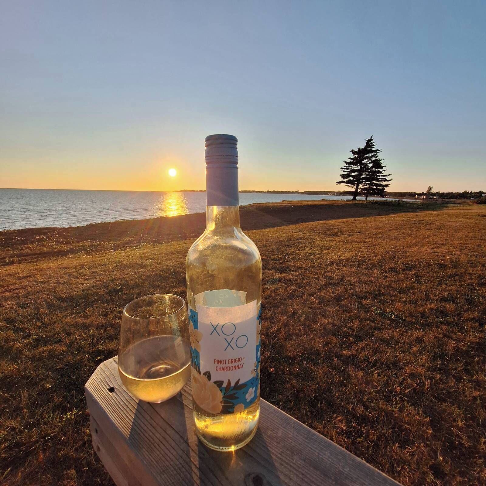 Une bouteille de Pinot Grigio Chardonnay sur une table en bois, avec un verre, le tout mis en valeur par une vue sur le coucher de soleil en bord de mer.
