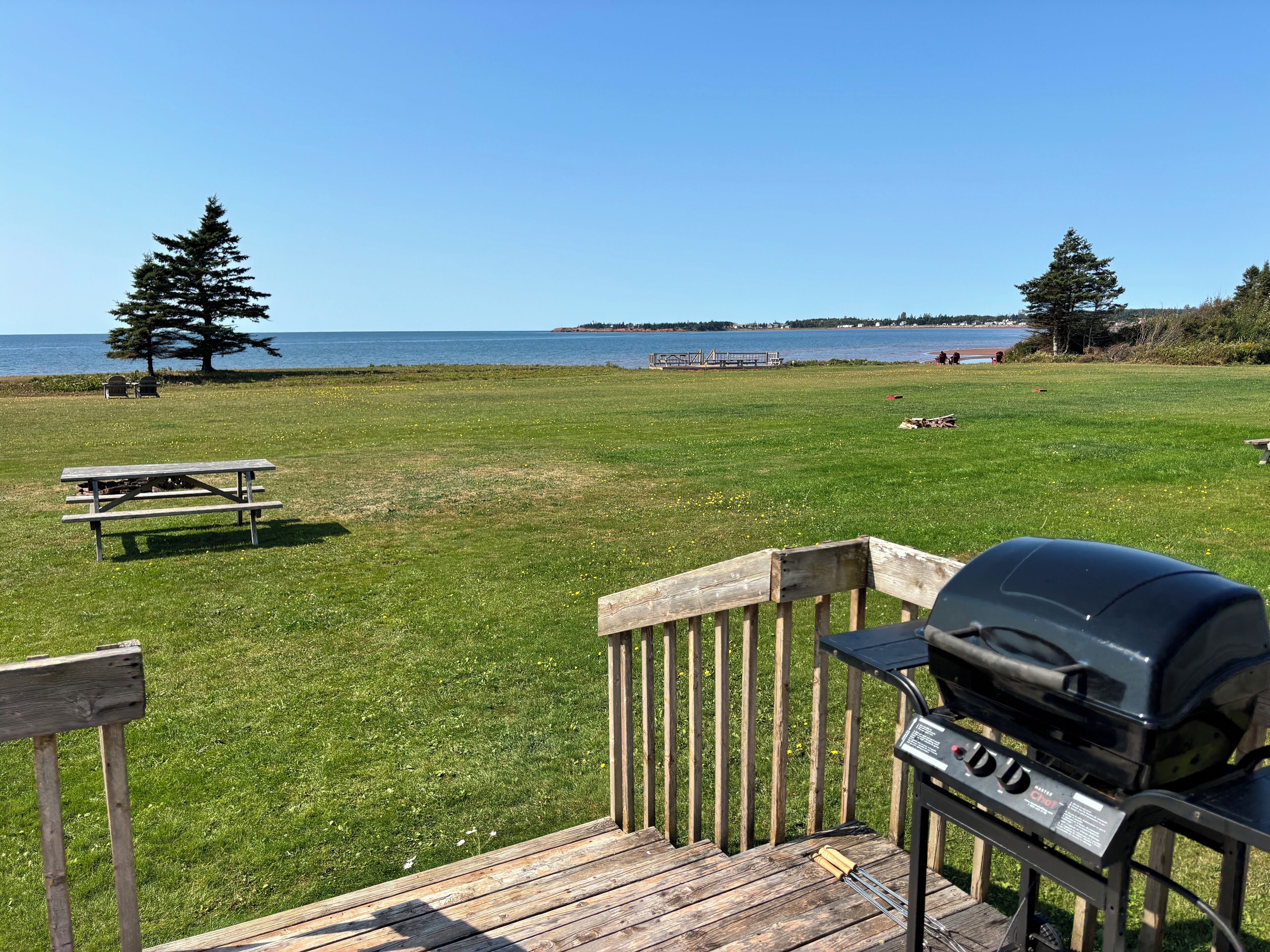A grassy area with a picnic table and a barbecue grill.