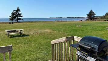 A grassy area with a picnic table and a barbecue grill.