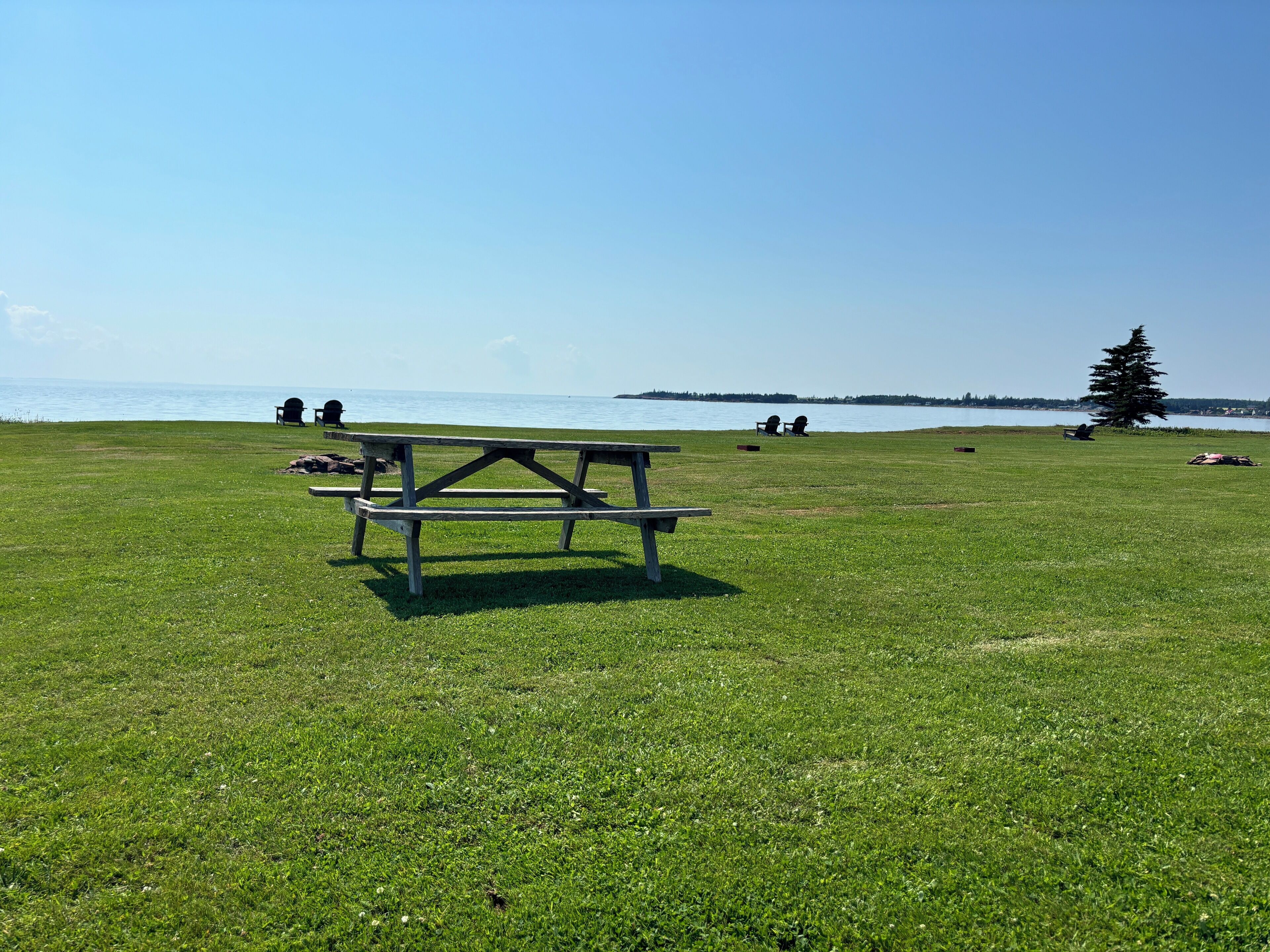 Una mesa de picnic en un campo cubierto de hierba, con vista al agua y un árbol al fondo.