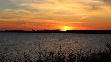 A sunset over a calm body of water with silhouettes of trees and vegetation in the foreground.