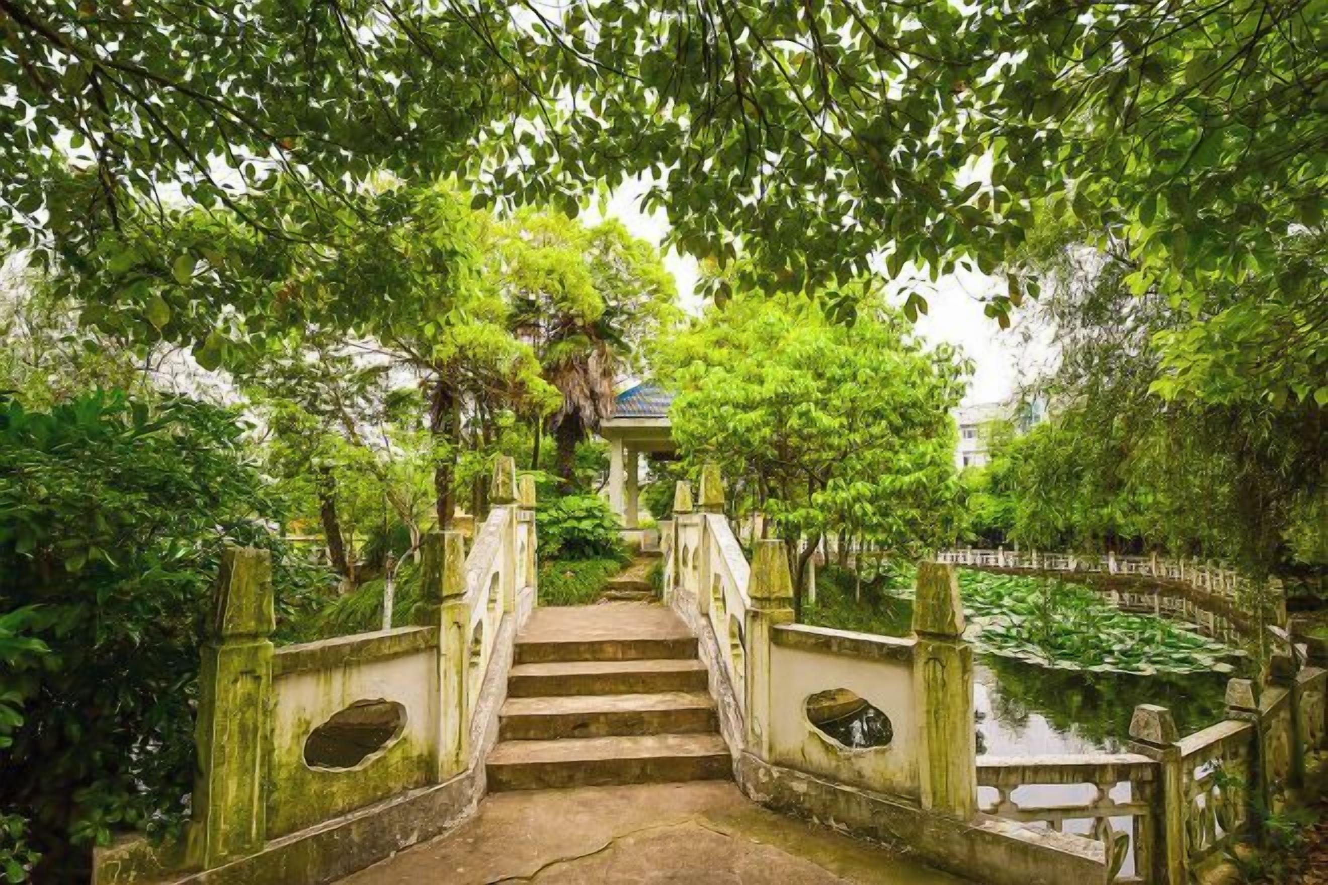 A stone staircase leading up to a building, surrounded by lush greenery and a small pond.