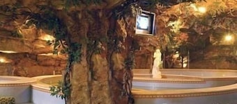 Golden Star Holiday Hotel