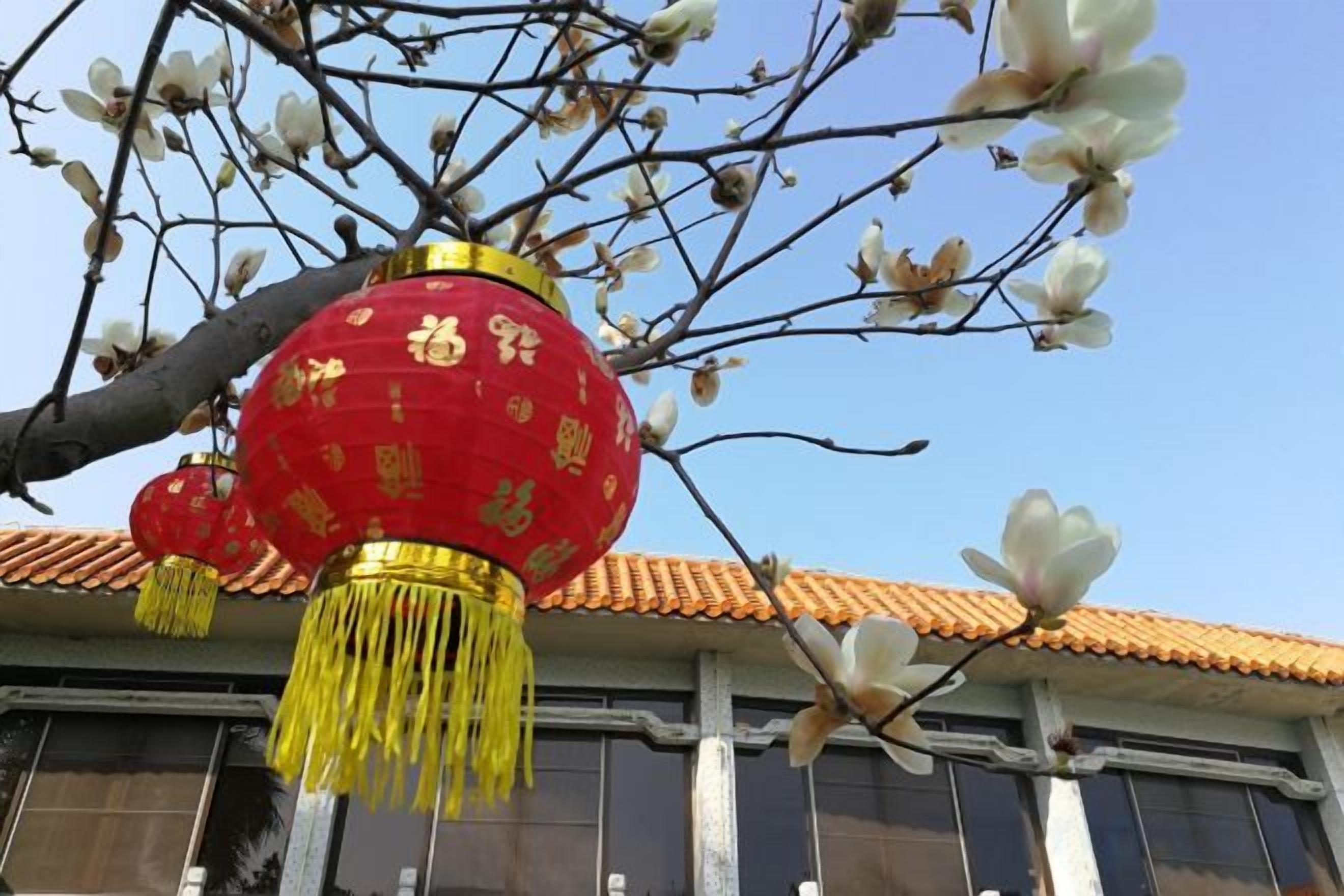 Un edificio tradicional con techo de tejas y un farol rojo colgado de una rama de árbol.