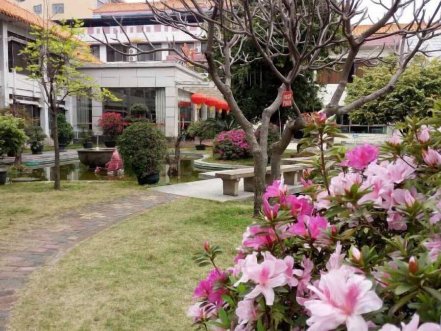 Une cour avec un chemin, des bancs et des plantes en fleurs.
