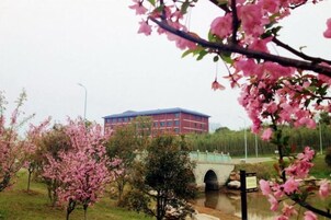 Un edificio con techo rojo, un puente y árboles en floración de color rosa.