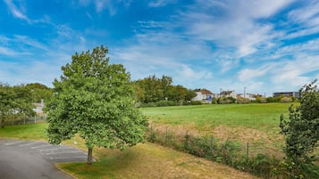 A parking lot with a tree in the foreground, a grassy field, and houses in the background.