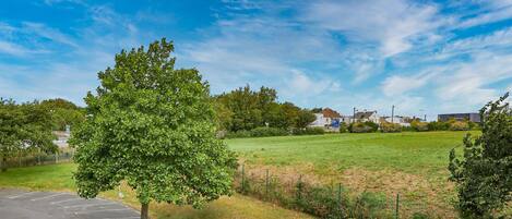 A parking lot with a tree in the foreground, a grassy field, and houses in the background.