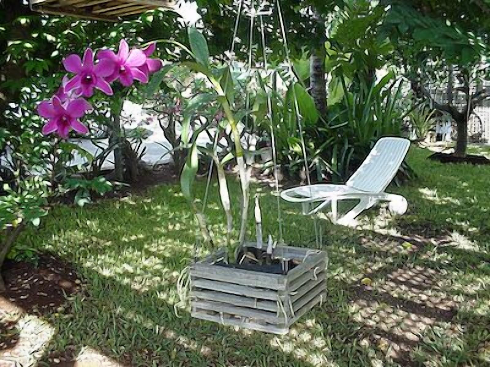 Jardin