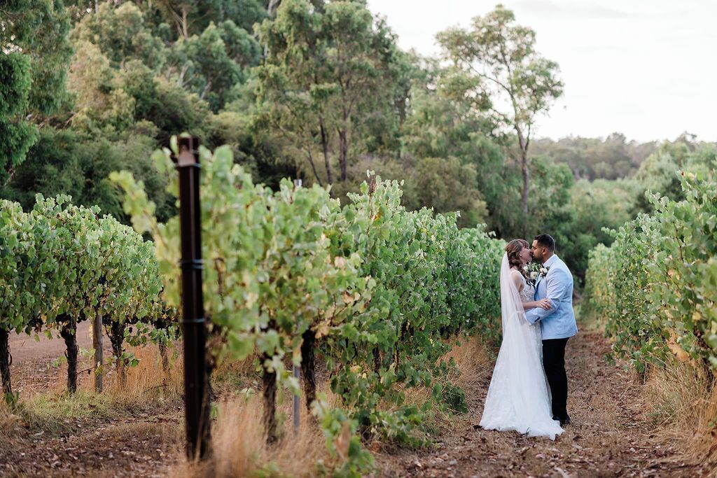 Un vignoble avec des rangées de vignes et un couple qui s’embrasse au centre.