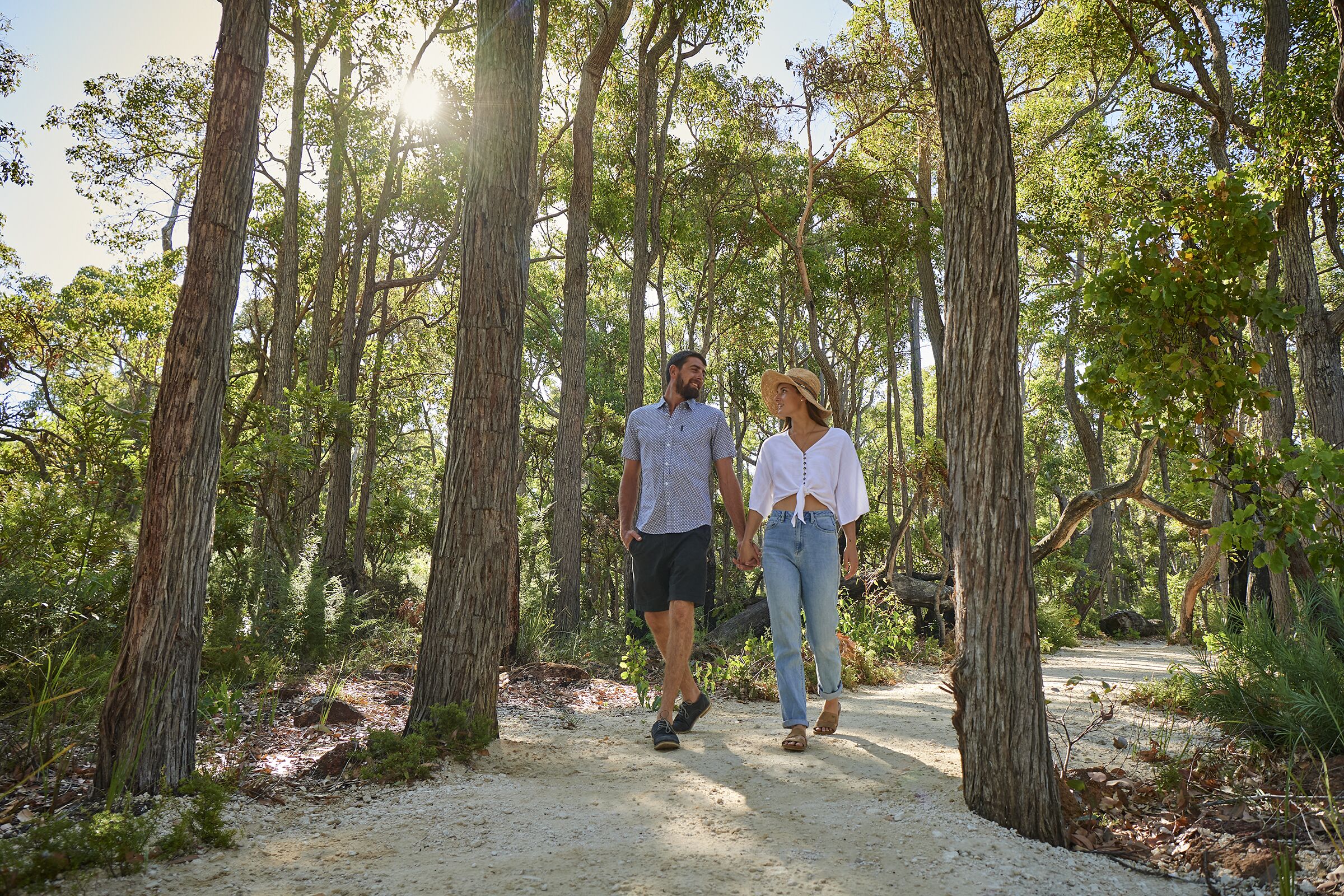 A forest path with tall trees and a clear sky.
