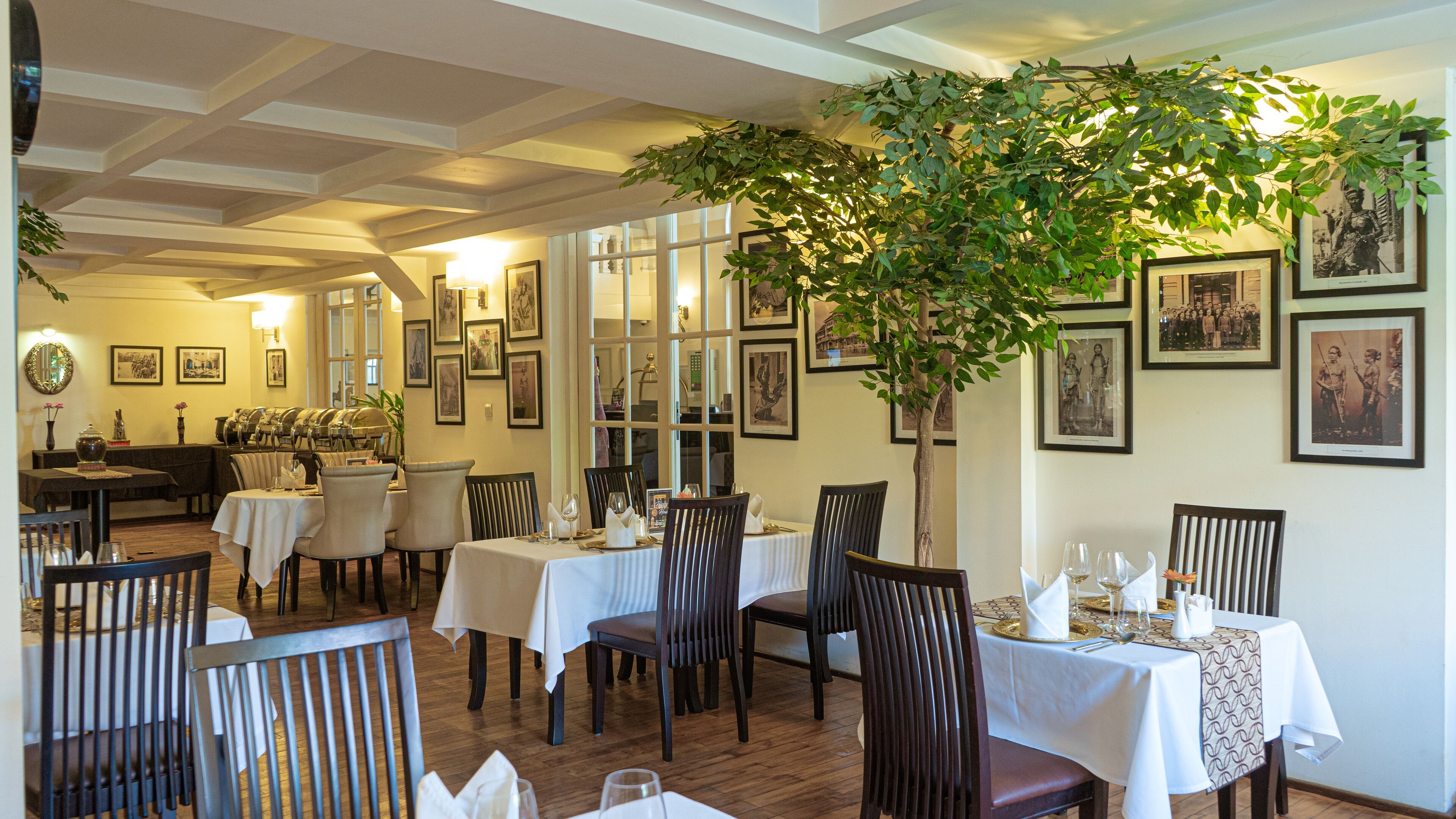 A restaurant with multiple tables, chairs, and a large tree in the center.