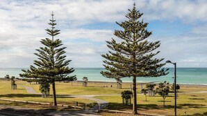 A coastal park with two prominent pine trees, a paved walkway, and a view of the ocean.