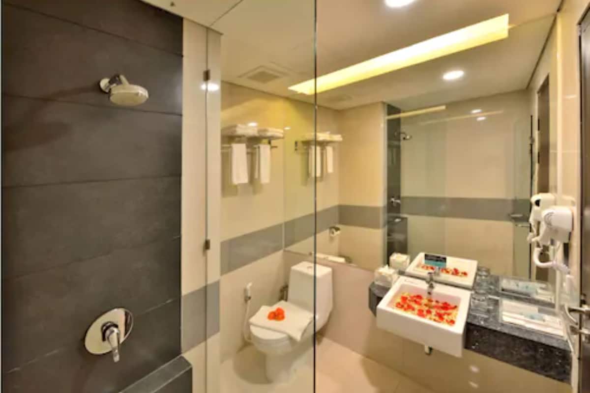 shower, free toiletries, hair dryer, slippers