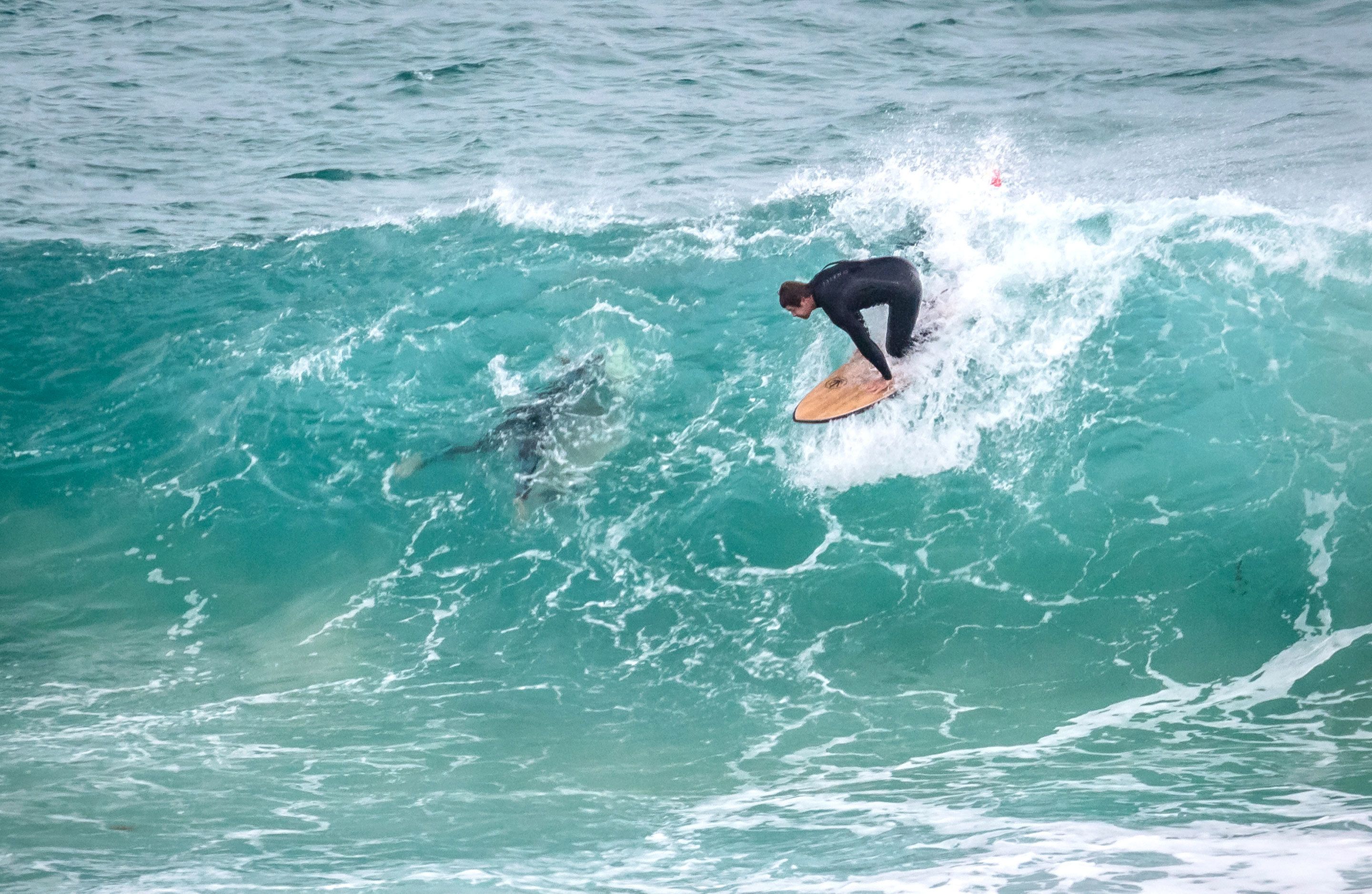 Un surfista cabalgando una ola.