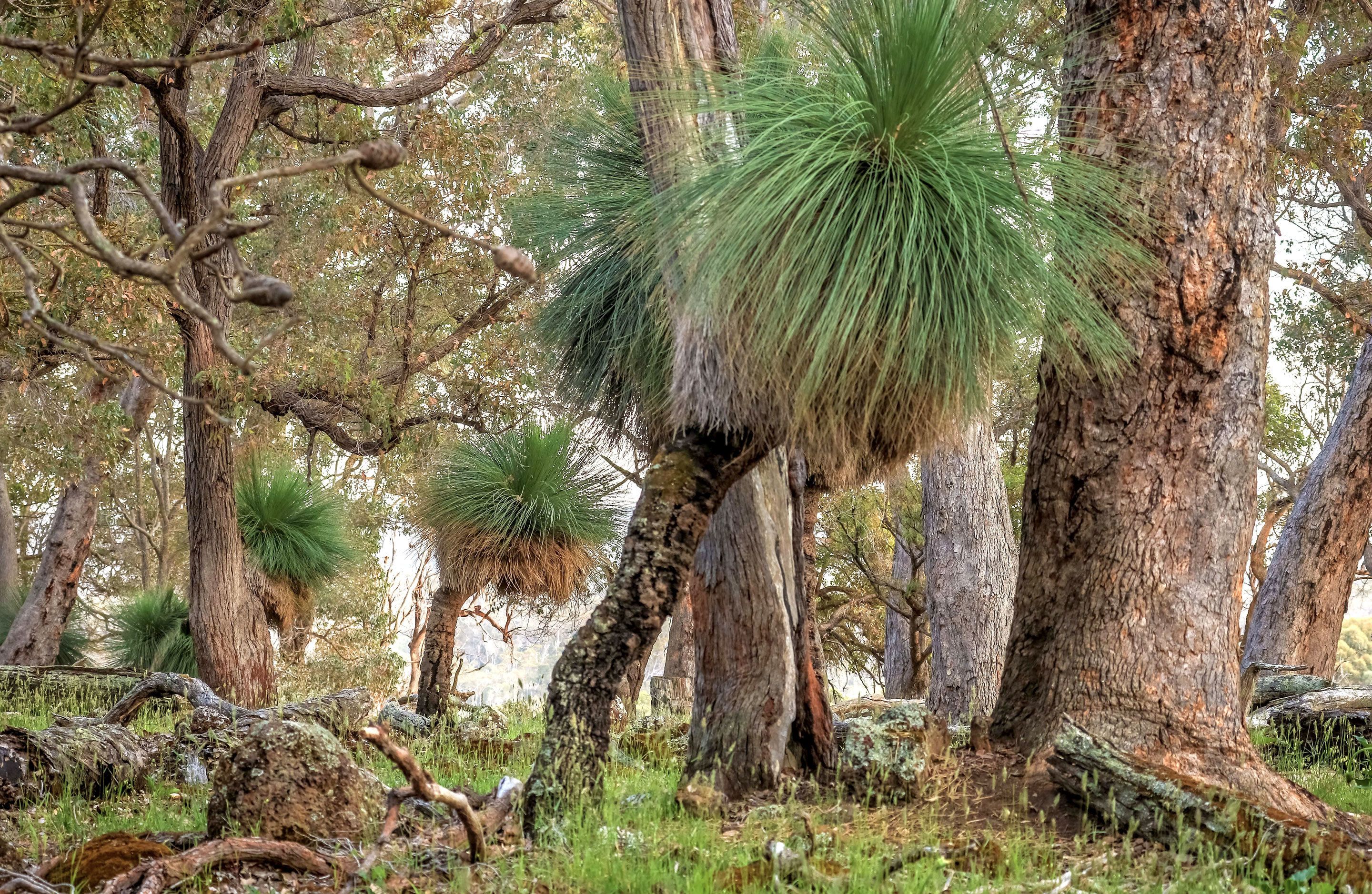 Bussells Bushland Cottages — image 24