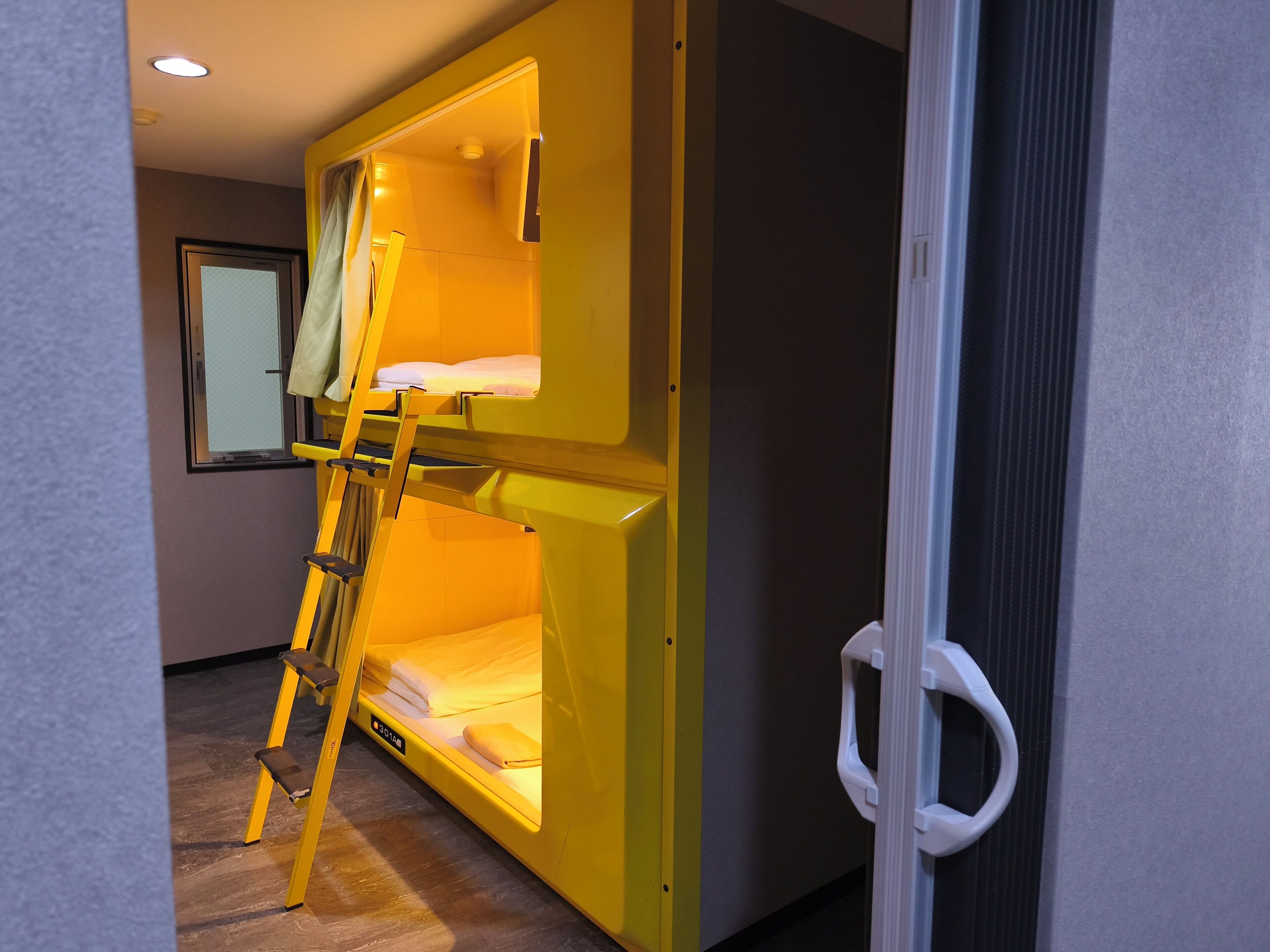 A bunk bed with a ladder, a window, and a door with a handle.