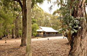 A rustic wooden cabin surrounded by tall trees and a dirt path.