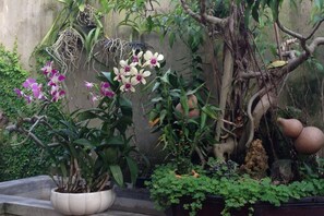 Interior detail - Starfruit Villa Hoi An (Da Nang)