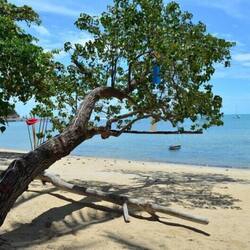 On the beach, sun-loungers, beach umbrellas, beach towels