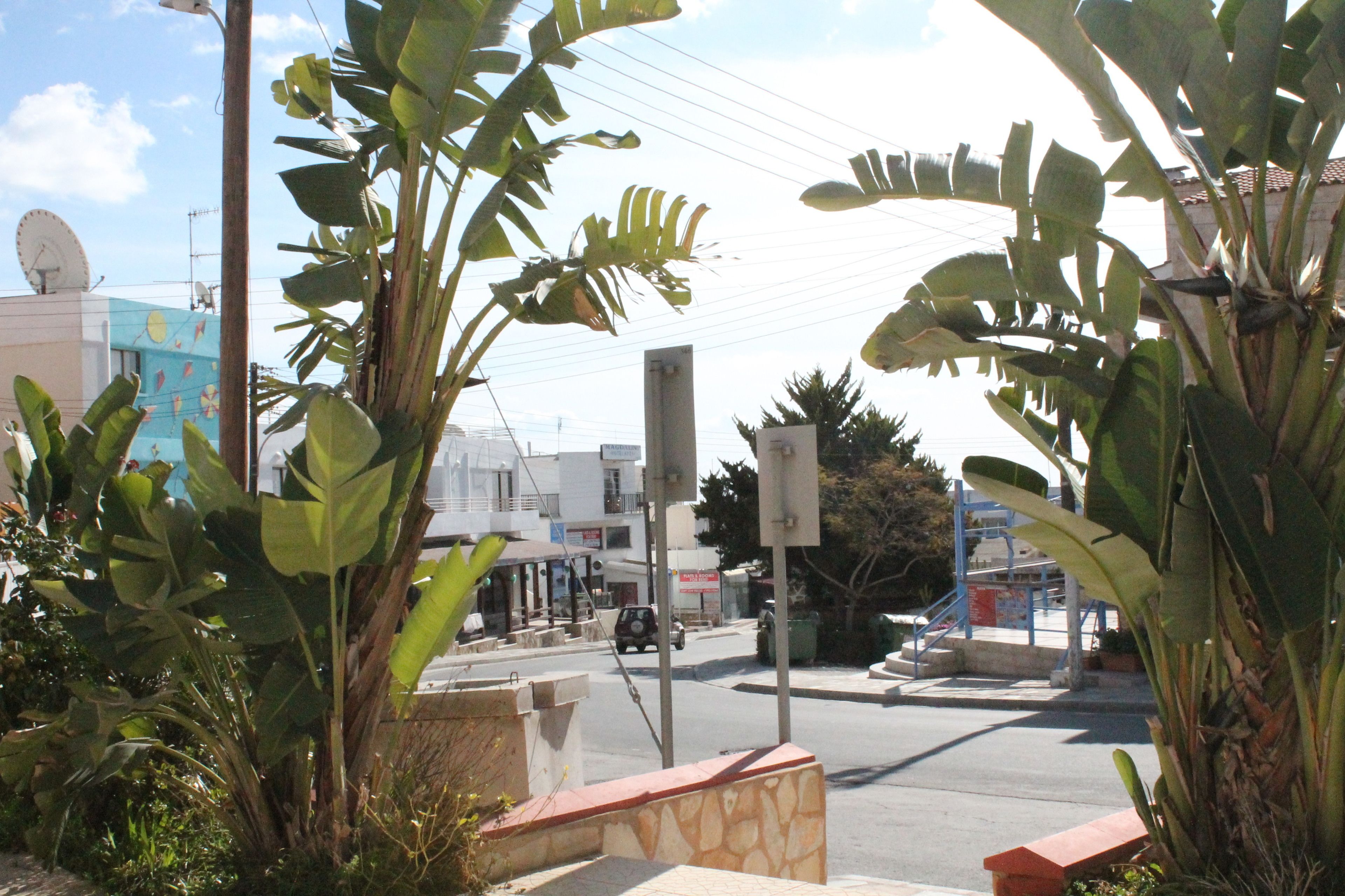 A street view with a road, a pedestrian crossing, and a building with a satellite dish.