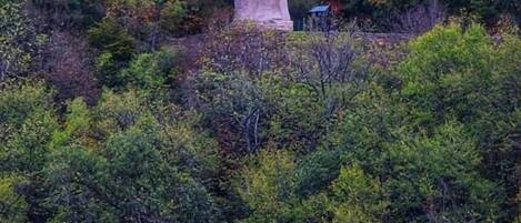 A large stone statue in a forested area.