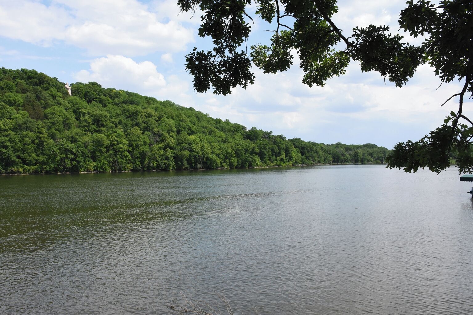 Un lago tranquilo rodeado de un denso bosque verde.