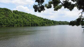 Un lago tranquilo rodeado de un denso bosque verde.
