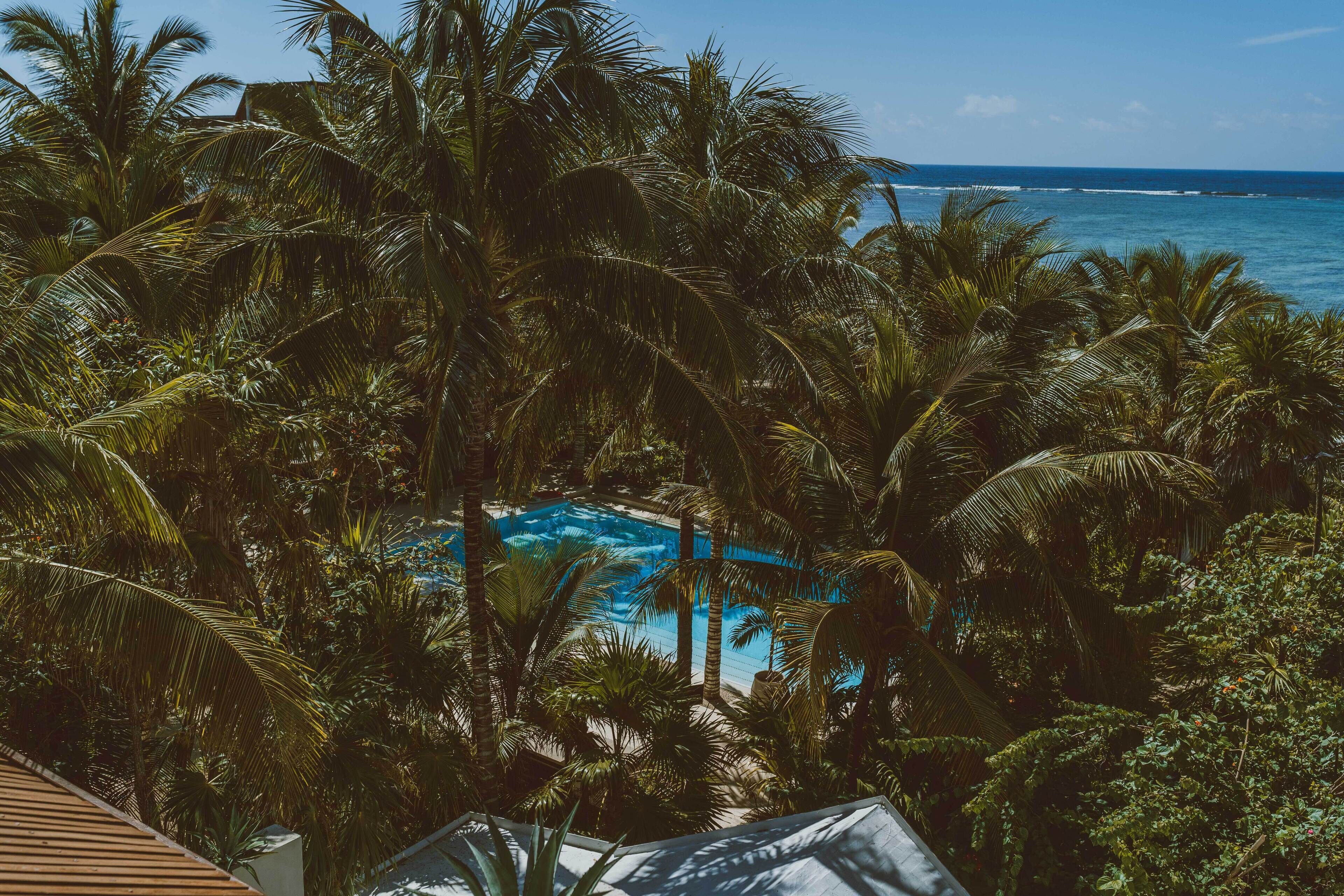 A tropical resort with a pool surrounded by palm trees and a view of the ocean.