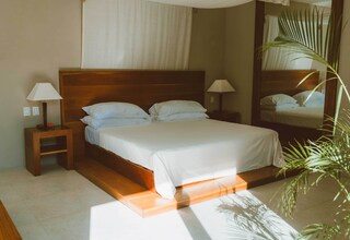 A bedroom with a wooden bed, two bedside tables with lamps, a large mirror, and a potted plant.