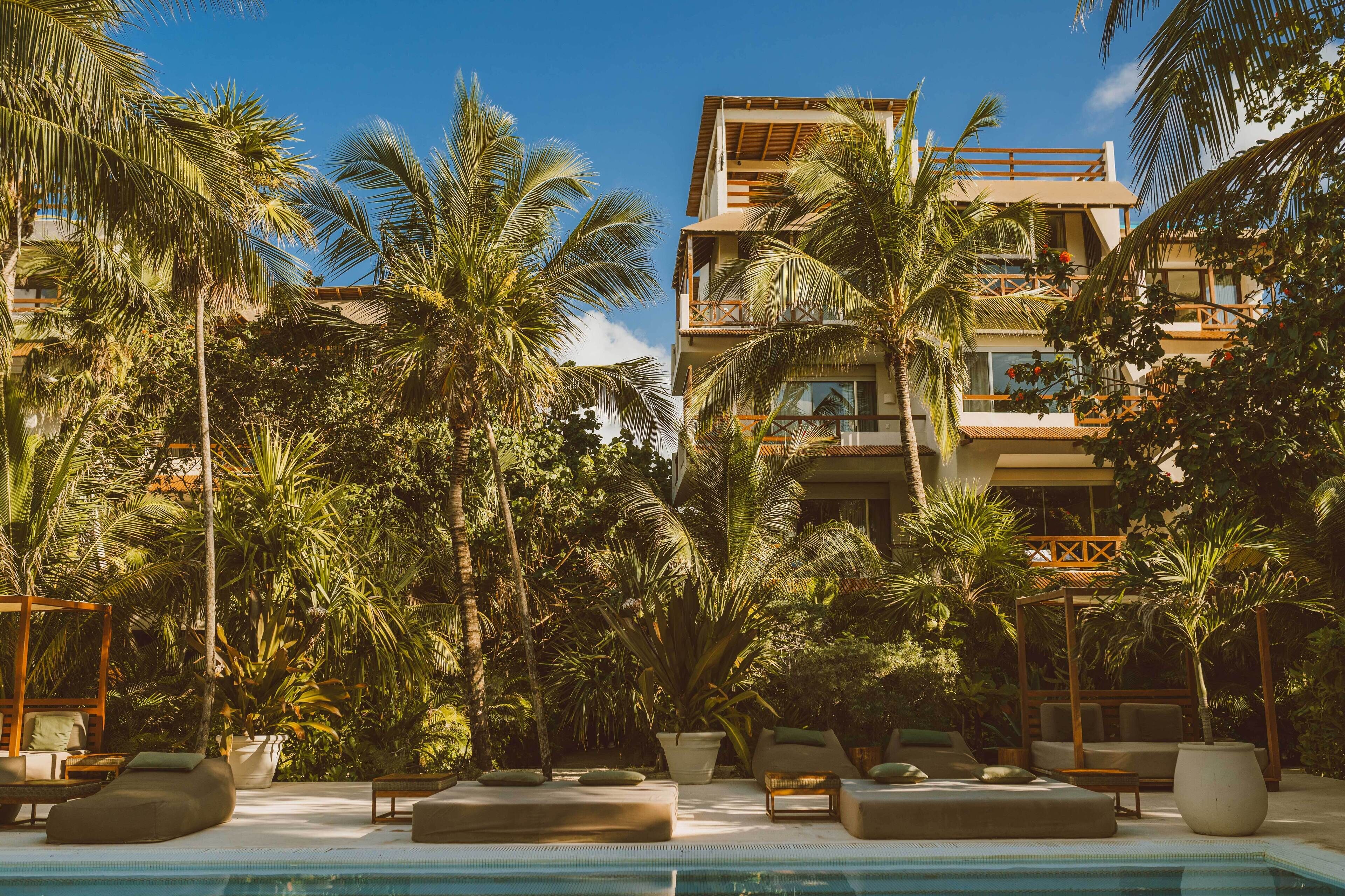A poolside area with lounge chairs and a large potted plant.