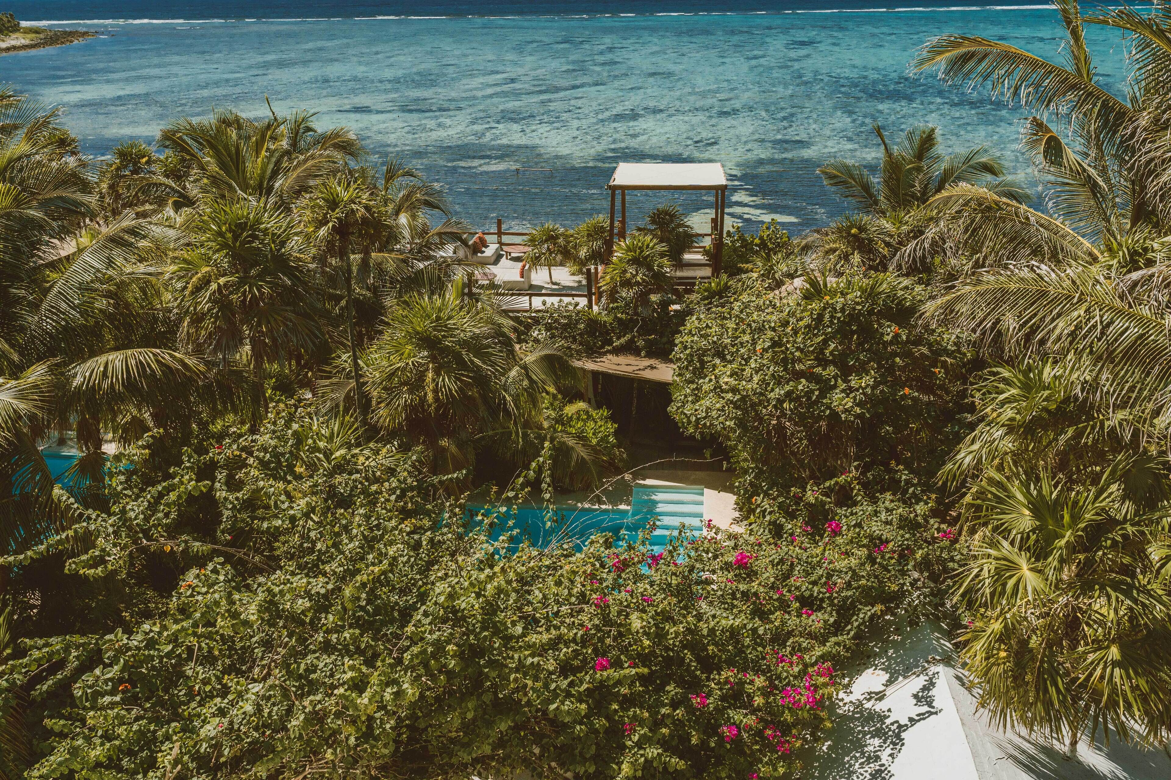 Un complexe hôtelier doté d’une piscine, entourée d’une végétation luxuriante et de palmiers.