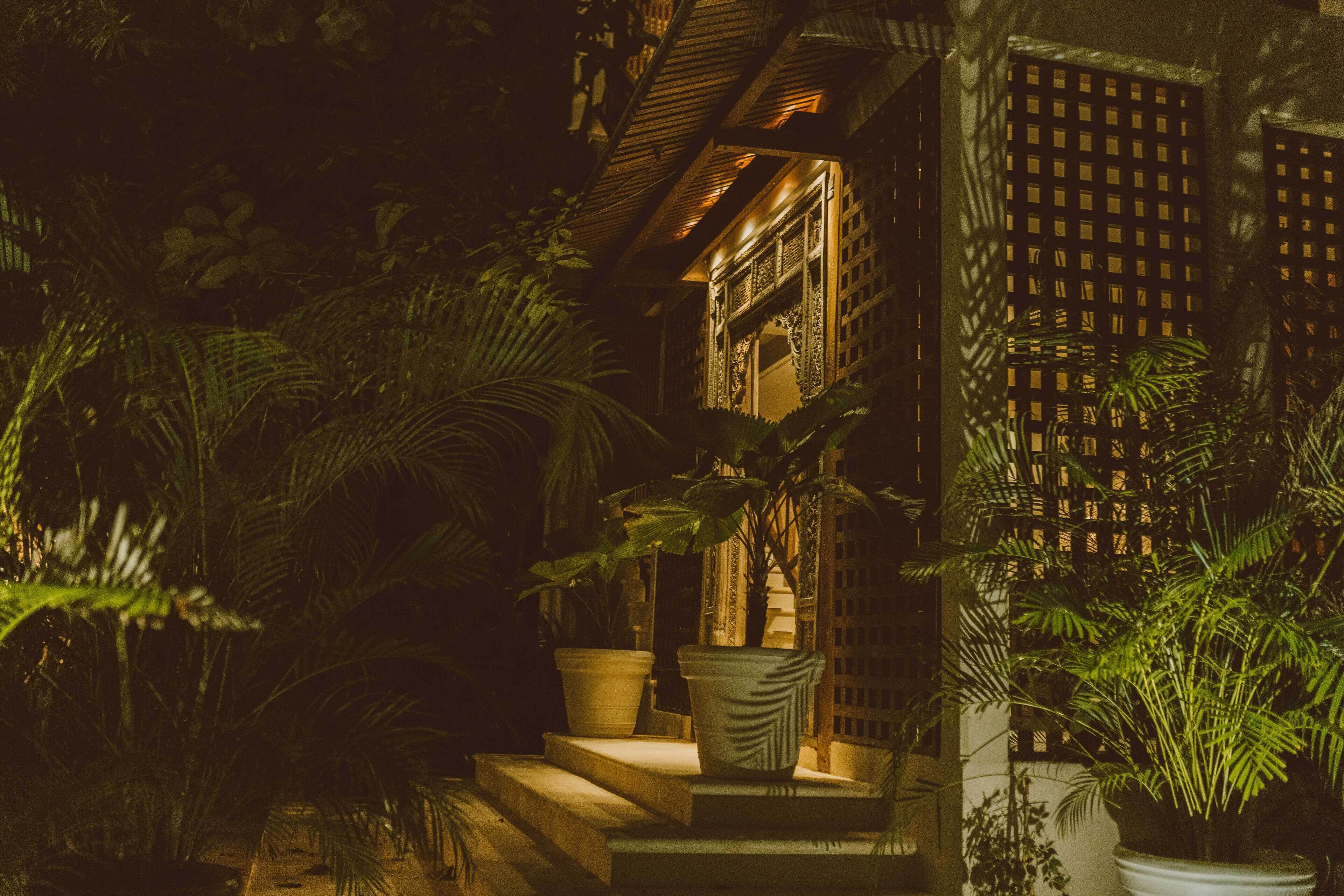 A well-lit entrance with steps leading to a traditional building, surrounded by lush greenery and potted plants.