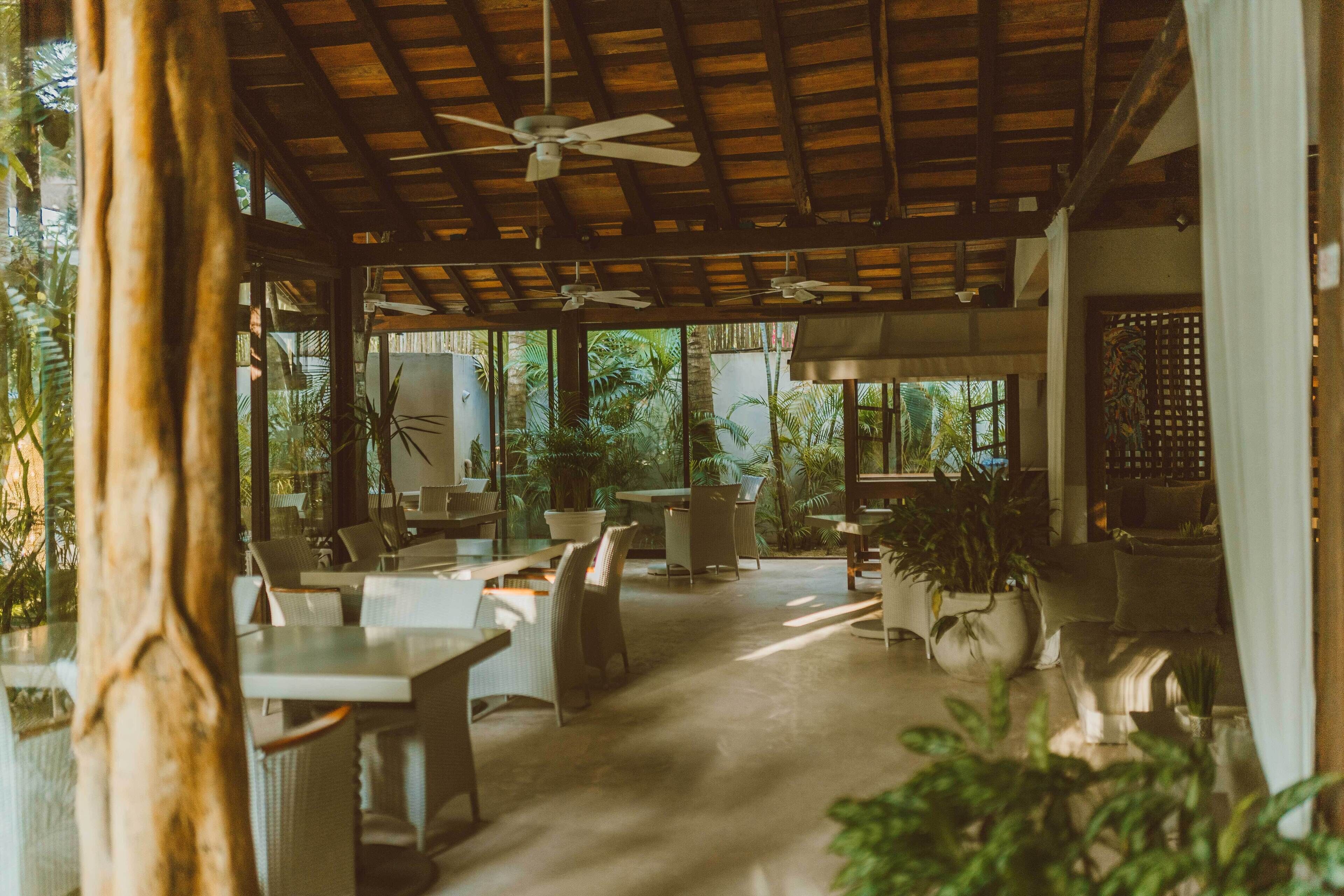 An indoor area with tables and chairs, ceiling fans, and potted plants.