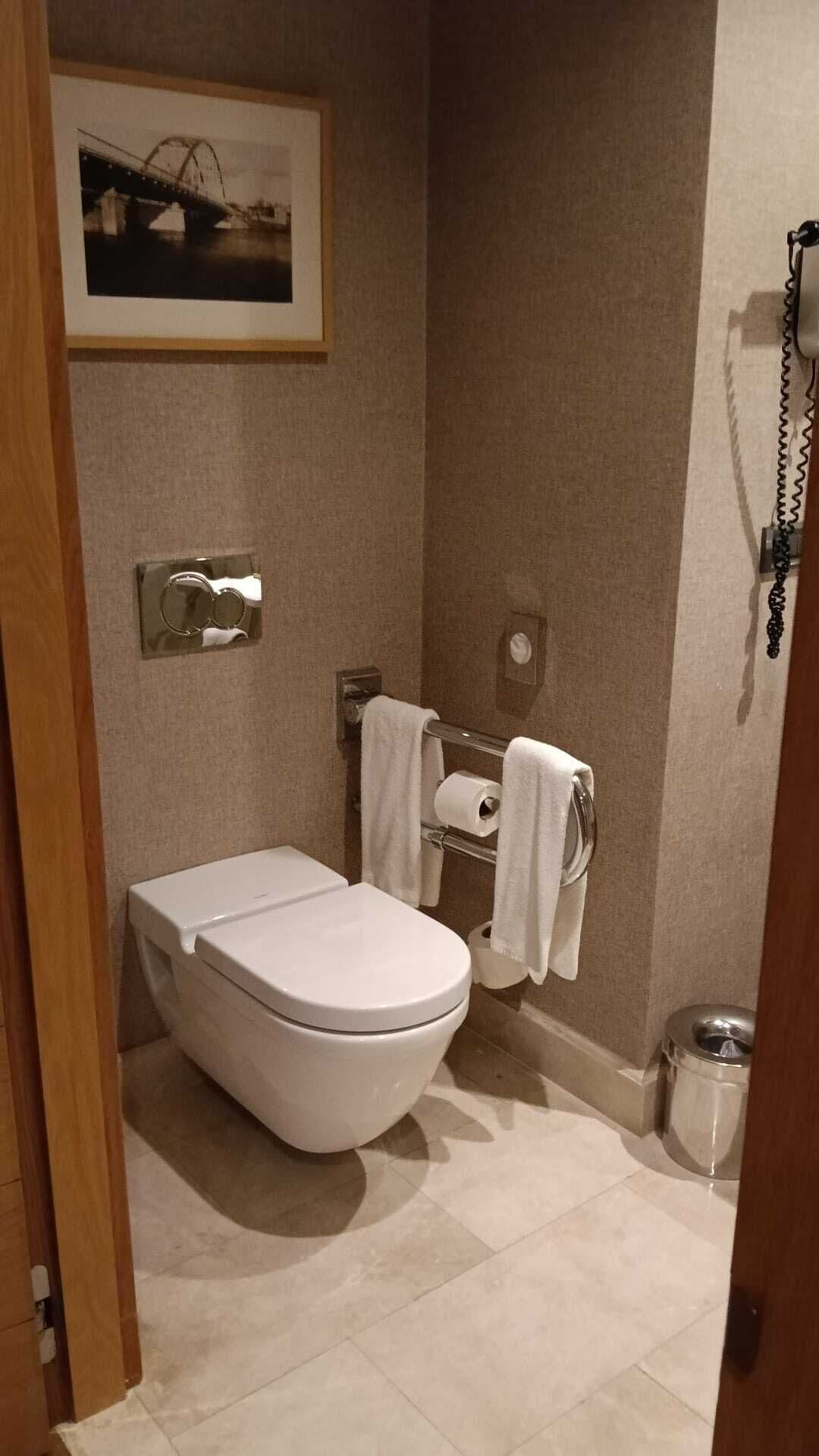 Un baño con inodoro, toallero e imagen enmarcada en la pared.