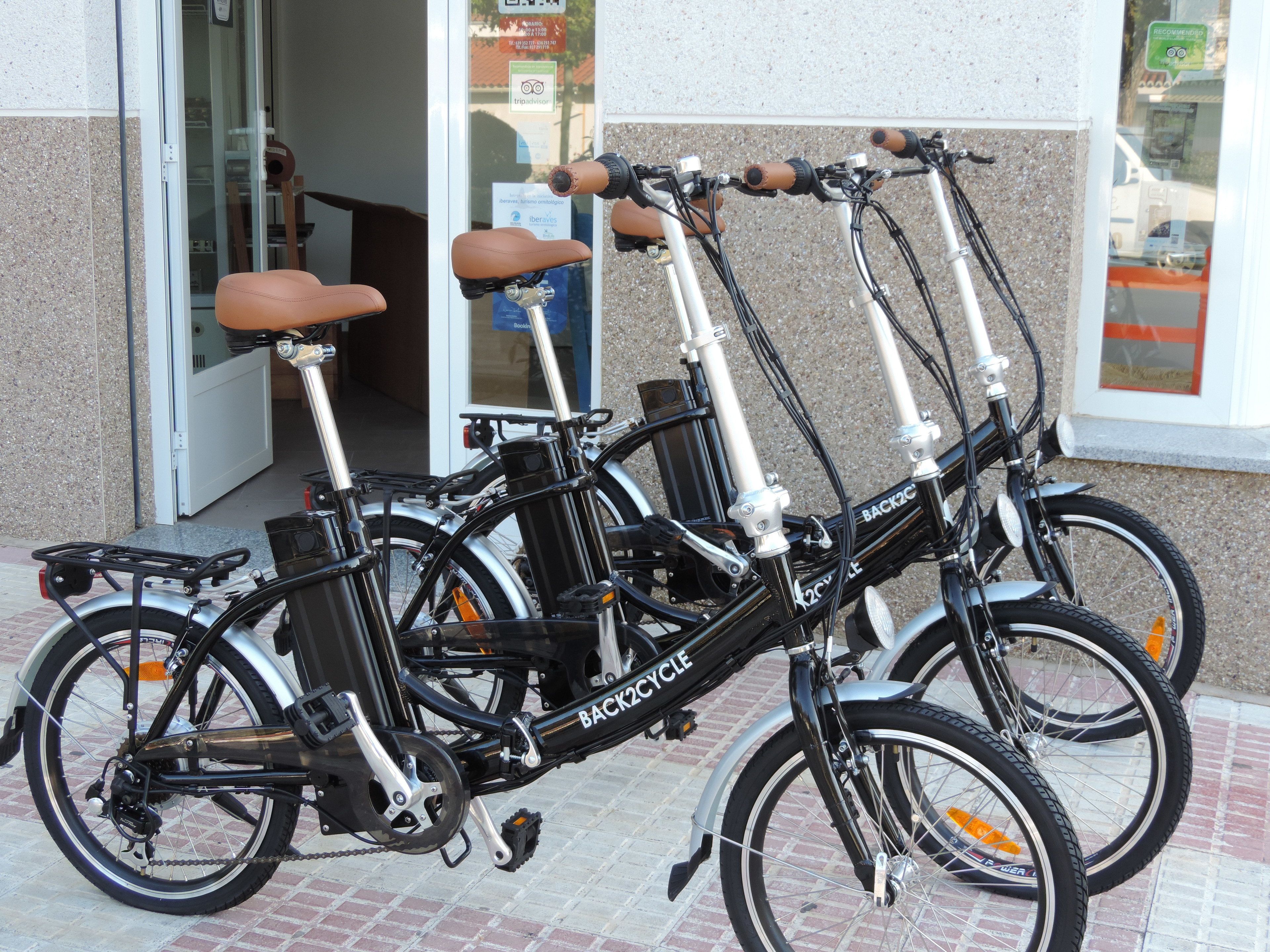 Een rij fietsen geparkeerd voor een gebouw met een betegelde vloer.