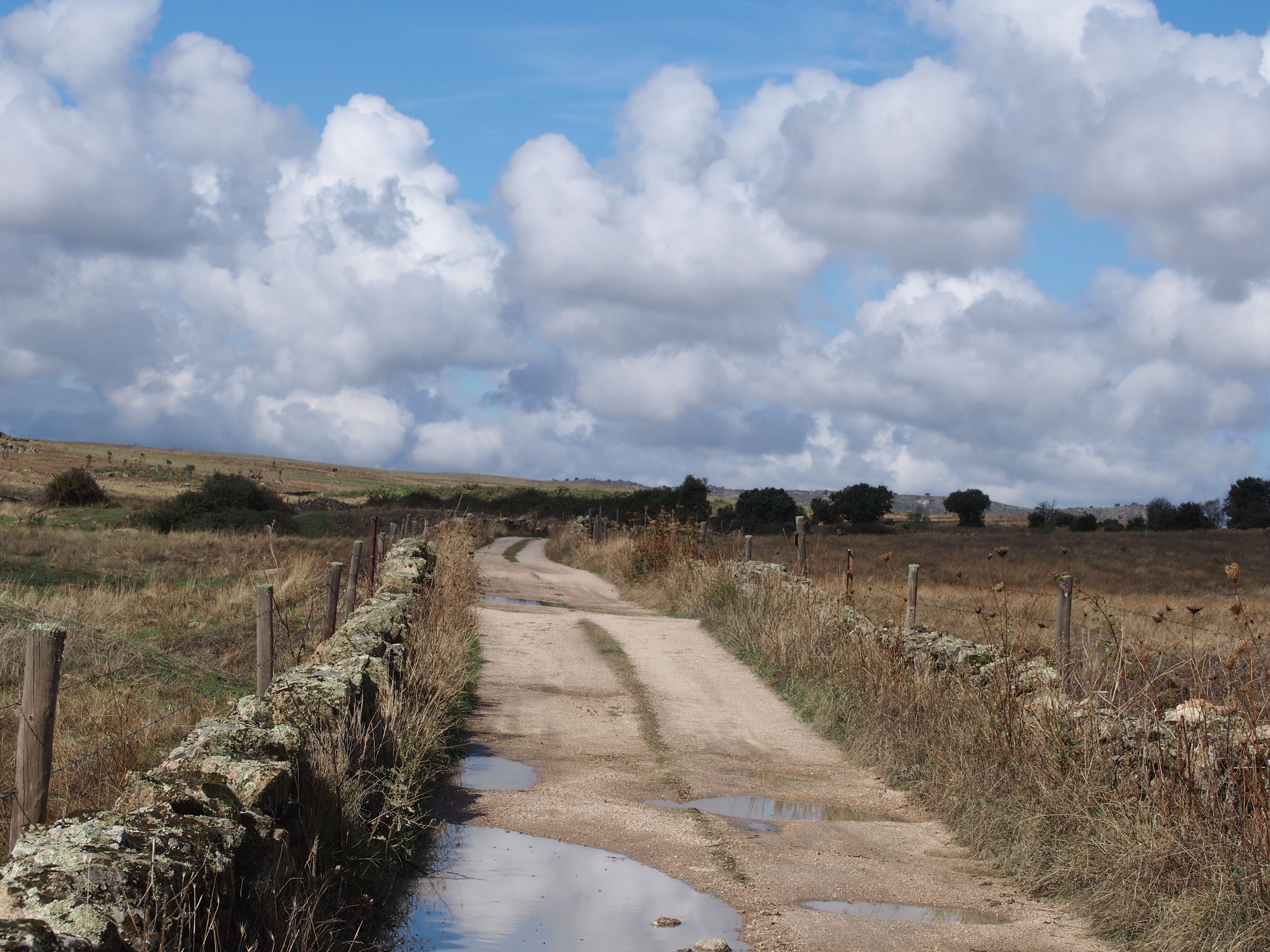 Un camino rural de tierra con charcos, rodeado de campos y un muro de piedra a un lado.
