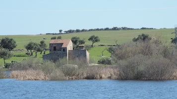 Lago