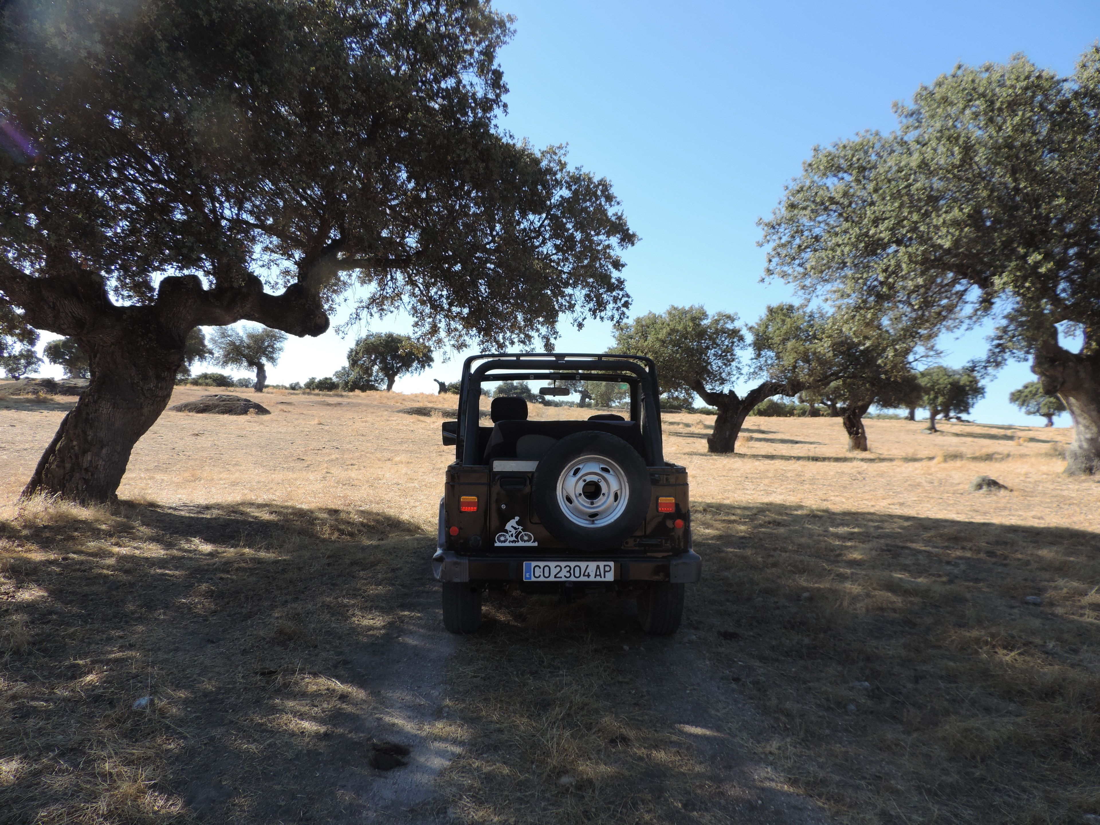 A vehicle parked on a dirt path surrounded by trees.