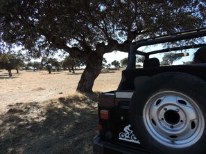 Un vehículo estacionado bajo un árbol grande en un campo seco y abierto.