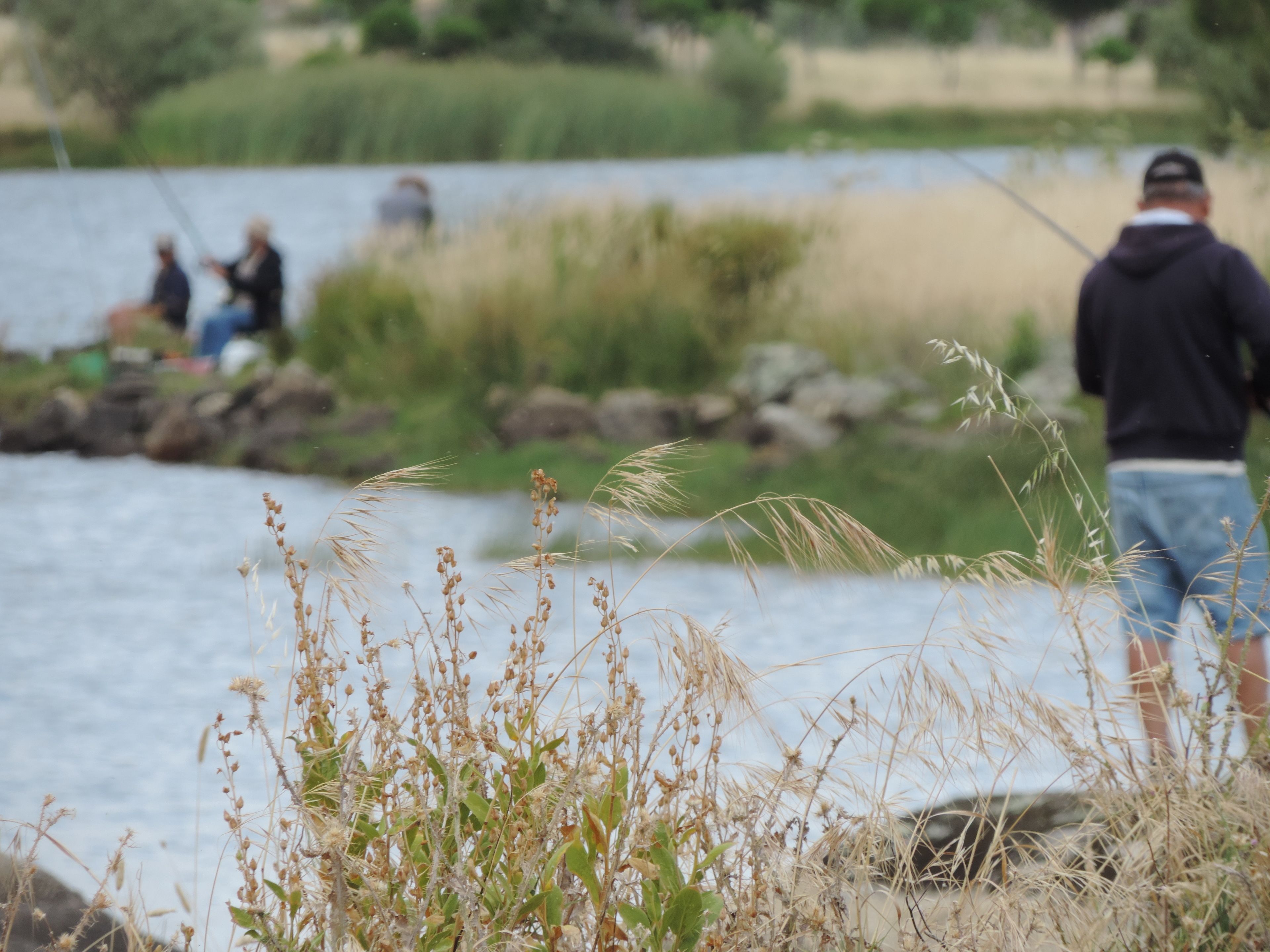 Escena junto al río con gente pescando, vegetación y una masa de agua tranquila.