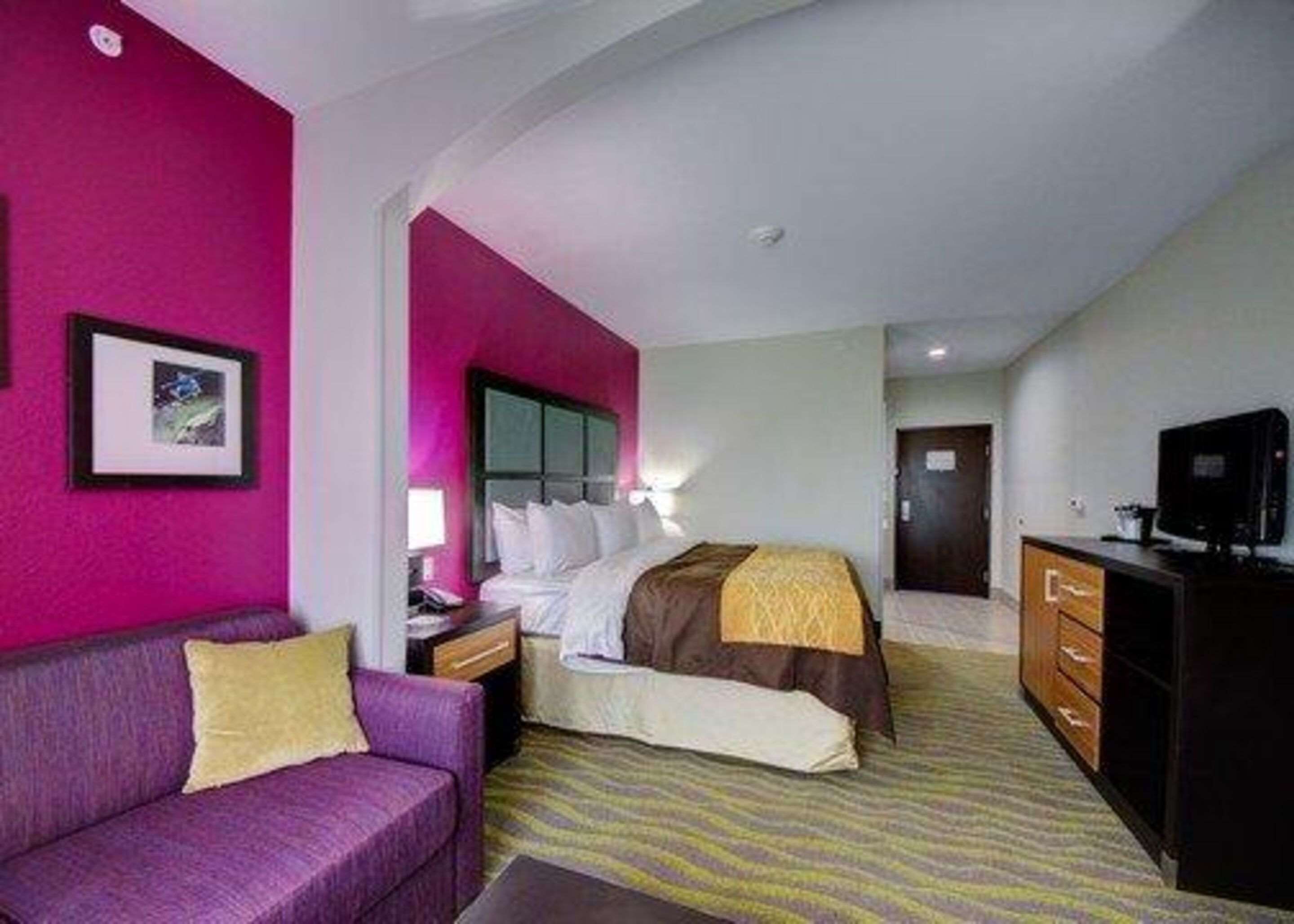 Una habitación de hotel con una cama, un sofá morado, un aparador y un televisor.