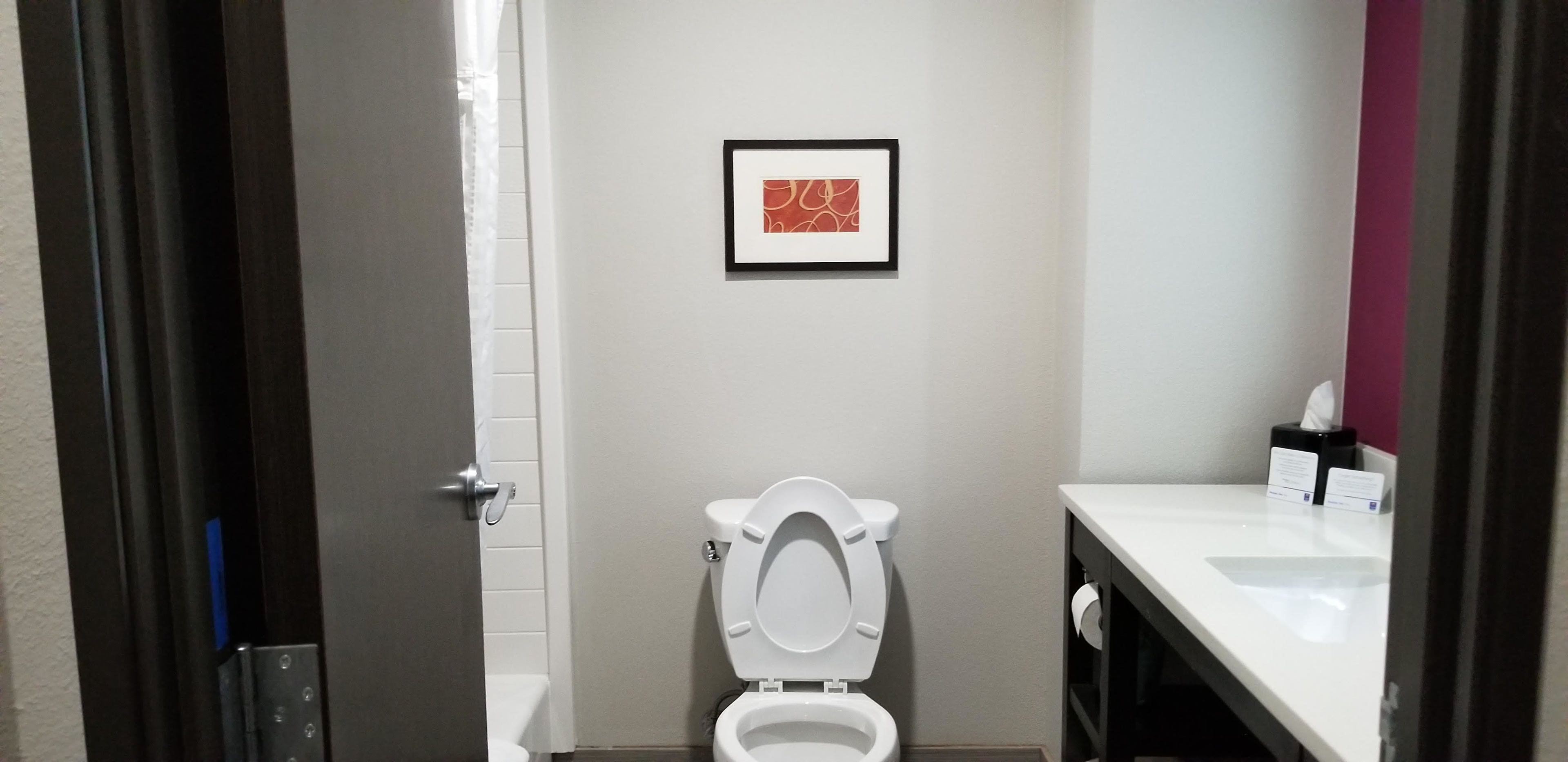 combined shower/bathtub, free toiletries, hair dryer, towels