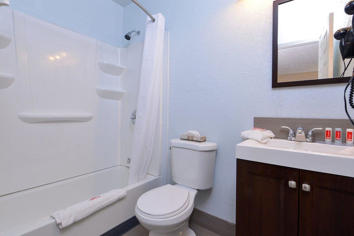 combined shower/bathtub, free toiletries, hair dryer, towels